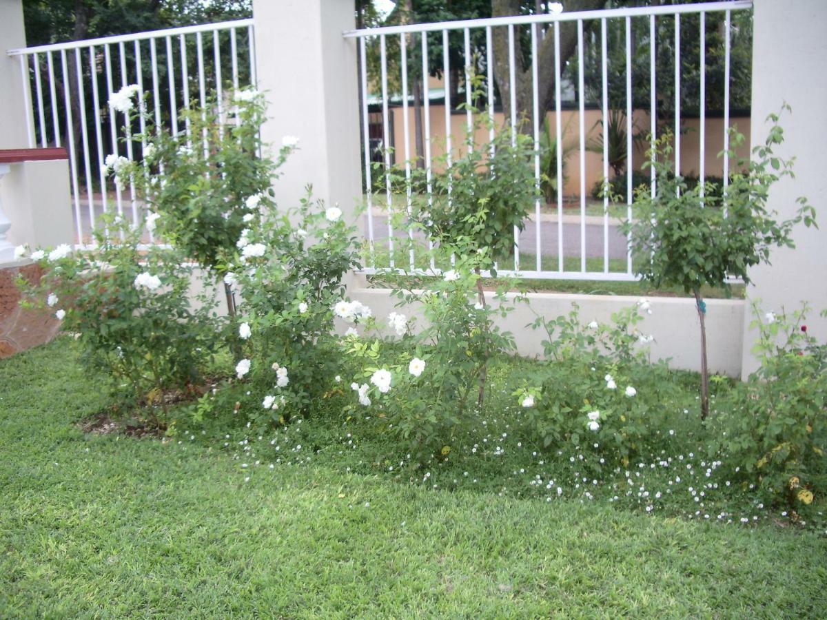 Dee'S Bnb Pretoria-Noord 外观 照片